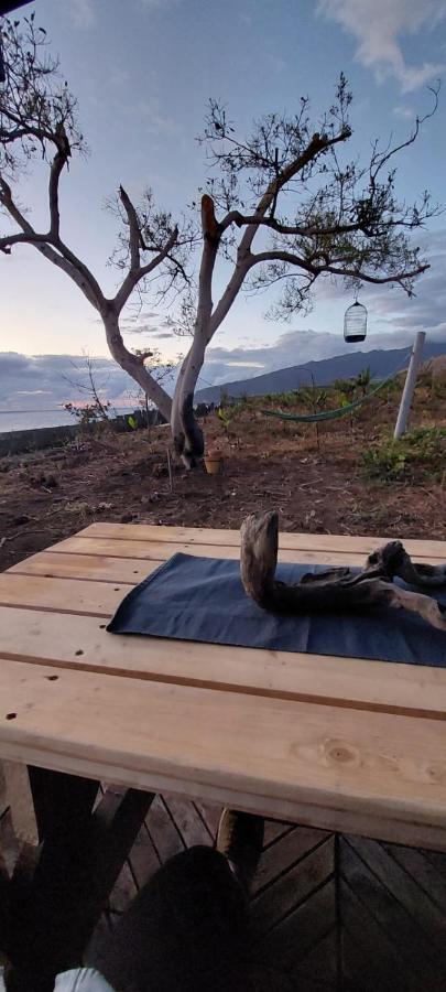 Villa Los Guirres Tazacorte Eksteriør billede