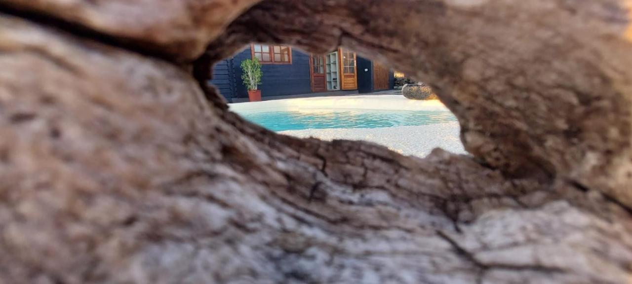 Villa Los Guirres Tazacorte Eksteriør billede